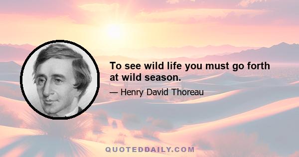 To see wild life you must go forth at wild season.