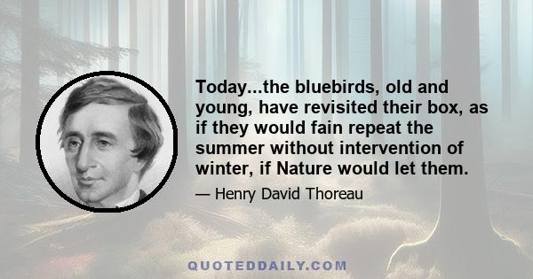 Today...the bluebirds, old and young, have revisited their box, as if they would fain repeat the summer without intervention of winter, if Nature would let them.