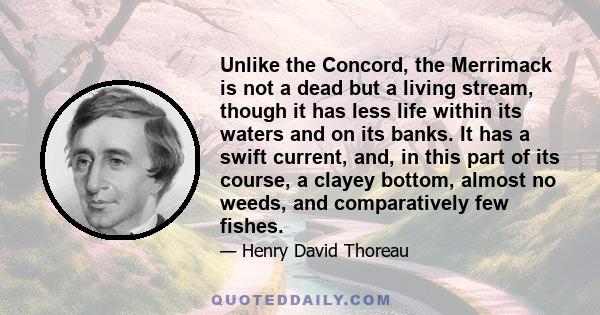 Unlike the Concord, the Merrimack is not a dead but a living stream, though it has less life within its waters and on its banks. It has a swift current, and, in this part of its course, a clayey bottom, almost no weeds, 