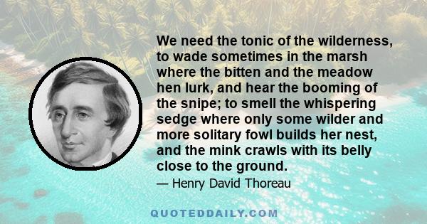 We need the tonic of the wilderness, to wade sometimes in the marsh where the bitten and the meadow hen lurk, and hear the booming of the snipe; to smell the whispering sedge where only some wilder and more solitary