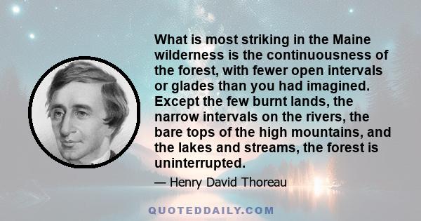 What is most striking in the Maine wilderness is the continuousness of the forest, with fewer open intervals or glades than you had imagined. Except the few burnt lands, the narrow intervals on the rivers, the bare tops 