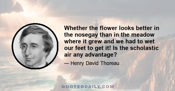 Whether the flower looks better in the nosegay than in the meadow where it grew and we had to wet our feet to get it! Is the scholastic air any advantage?