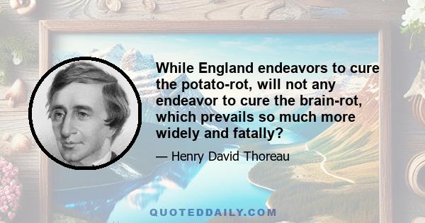 While England endeavors to cure the potato-rot, will not any endeavor to cure the brain-rot, which prevails so much more widely and fatally?