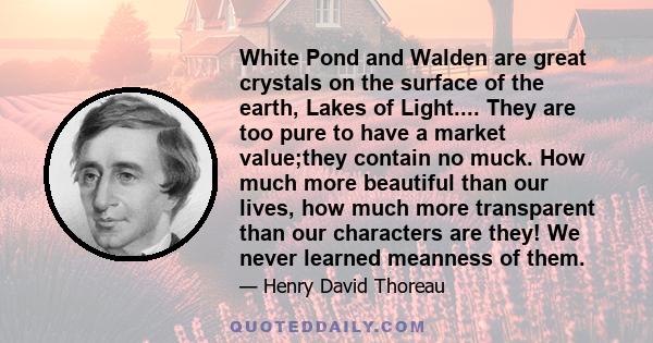 White Pond and Walden are great crystals on the surface of the earth, Lakes of Light.... They are too pure to have a market value;they contain no muck. How much more beautiful than our lives, how much more transparent