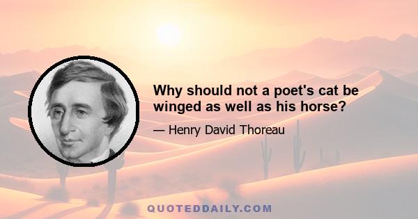 Why should not a poet's cat be winged as well as his horse?