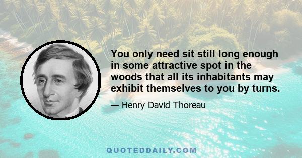 You only need sit still long enough in some attractive spot in the woods that all its inhabitants may exhibit themselves to you by turns.