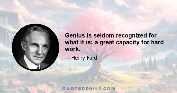 Genius is seldom recognized for what it is: a great capacity for hard work.