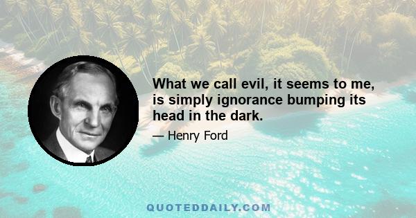 What we call evil, it seems to me, is simply ignorance bumping its head in the dark.