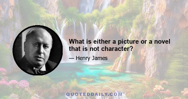 What is either a picture or a novel that is not character?