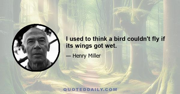 I used to think a bird couldn't fly if its wings got wet.