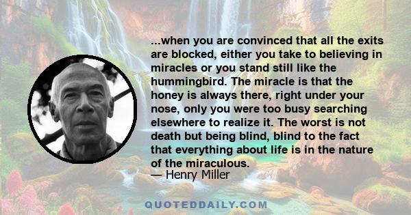 ...when you are convinced that all the exits are blocked, either you take to believing in miracles or you stand still like the hummingbird. The miracle is that the honey is always there, right under your nose, only you