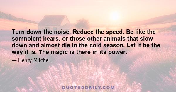 Turn down the noise. Reduce the speed. Be like the somnolent bears, or those other animals that slow down and almost die in the cold season. Let it be the way it is. The magic is there in its power.