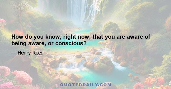 How do you know, right now, that you are aware of being aware, or conscious?