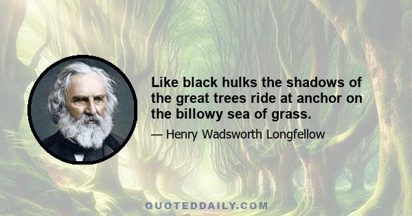 Like black hulks the shadows of the great trees ride at anchor on the billowy sea of grass.