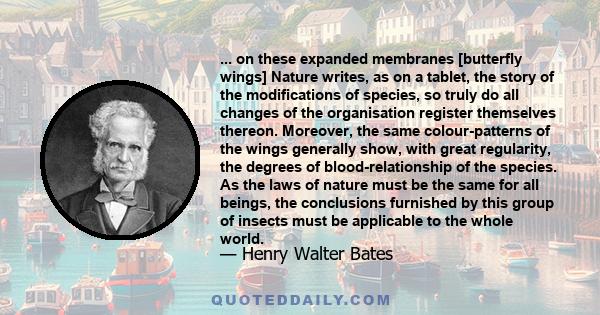 ... on these expanded membranes [butterfly wings] Nature writes, as on a tablet, the story of the modifications of species, so truly do all changes of the organisation register themselves thereon. Moreover, the same