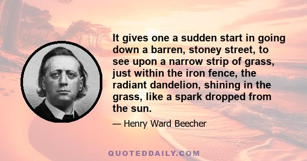 It gives one a sudden start in going down a barren, stoney street, to see upon a narrow strip of grass, just within the iron fence, the radiant dandelion, shining in the grass, like a spark dropped from the sun.