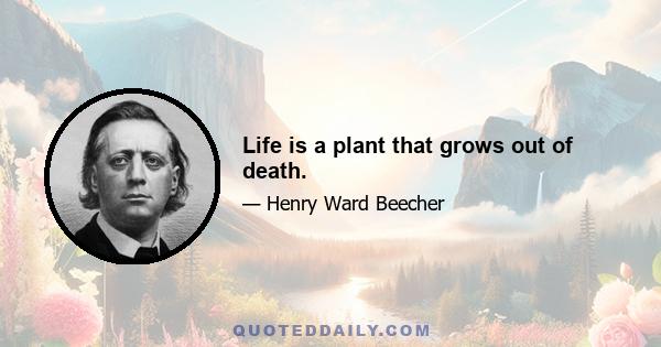 Life is a plant that grows out of death.