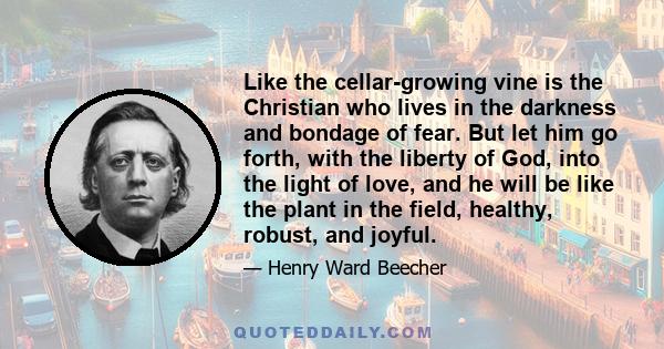 Like the cellar-growing vine is the Christian who lives in the darkness and bondage of fear. But let him go forth, with the liberty of God, into the light of love, and he will be like the plant in the field, healthy,