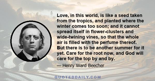 Love, in this world, is like a seed taken from the tropics, and planted where the winter comes too soon; and it cannot spread itself in flower-clusters and wide-twining vines, so that the whole air is filled with the