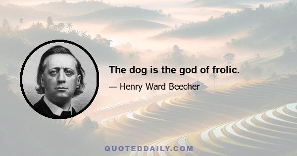 The dog is the god of frolic.