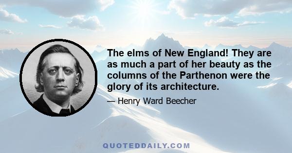 The elms of New England! They are as much a part of her beauty as the columns of the Parthenon were the glory of its architecture.