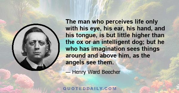 The man who perceives life only with his eye, his ear, his hand, and his tongue, is but little higher than the ox or an intelligent dog; but he who has imagination sees things around and above him, as the angels see