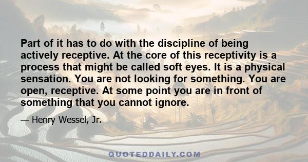 Part of it has to do with the discipline of being actively receptive. At the core of this receptivity is a process that might be called soft eyes. It is a physical sensation. You are not looking for something. You are