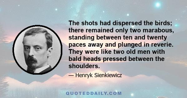 The shots had dispersed the birds; there remained only two marabous, standing between ten and twenty paces away and plunged in reverie. They were like two old men with bald heads pressed between the shoulders.