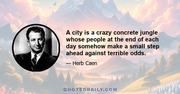 A city is a crazy concrete jungle whose people at the end of each day somehow make a small step ahead against terrible odds.