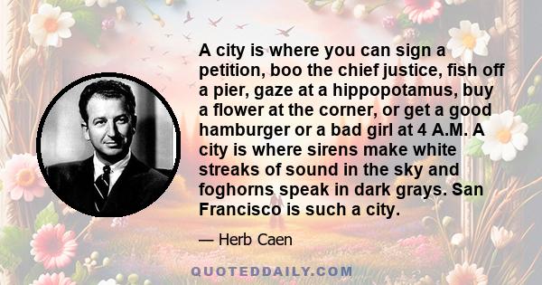 A city is where you can sign a petition, boo the chief justice, fish off a pier, gaze at a hippopotamus, buy a flower at the corner, or get a good hamburger or a bad girl at 4 A.M. A city is where sirens make white