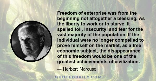 Freedom of enterprise was from the beginning not altogether a blessing. As the liberty to work or to starve, it spelled toil, insecurity, and fear for the vast majority of the population. If the individual were no