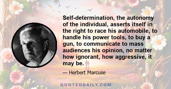 Self-determination, the autonomy of the individual, asserts itself in the right to race his automobile, to handle his power tools, to buy a gun, to communicate to mass audiences his opinion, no matter how ignorant, how