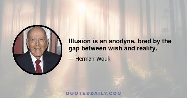 Illusion is an anodyne, bred by the gap between wish and reality.