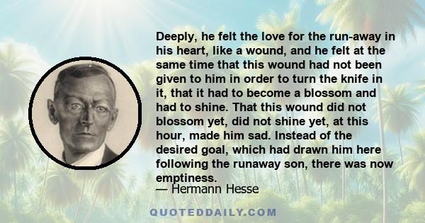 Deeply, he felt the love for the run-away in his heart, like a wound, and he felt at the same time that this wound had not been given to him in order to turn the knife in it, that it had to become a blossom and had to