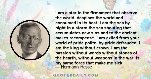 I am a star in the firmament that observe the world, despises the world and consumed in its heat. I am the sea by night in a storm the sea shouting that accumulates new sins and to the ancient makes recompense. I am