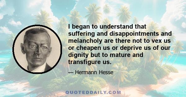 I began to understand that suffering and disappointments and melancholy are there not to vex us or cheapen us or deprive us of our dignity but to mature and transfigure us.