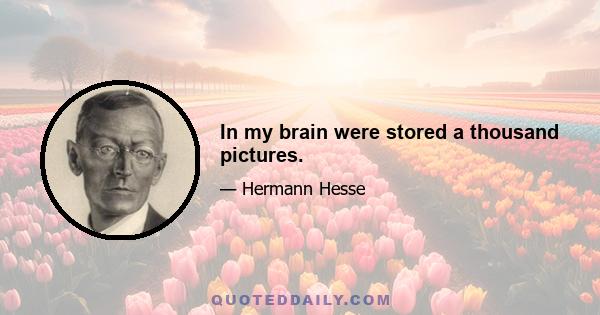 In my brain were stored a thousand pictures.