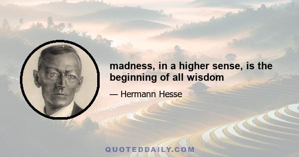 madness, in a higher sense, is the beginning of all wisdom