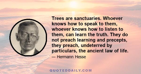 Trees are sanctuaries. Whoever knows how to speak to them, whoever knows how to listen to them, can learn the truth. They do not preach learning and precepts, they preach, undeterred by particulars, the ancient law of