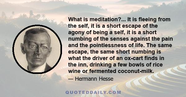 What is meditation?... It is fleeing from the self, it is a short escape of the agony of being a self, it is a short numbing of the senses against the pain and the pointlessness of life. The same escape, the same short