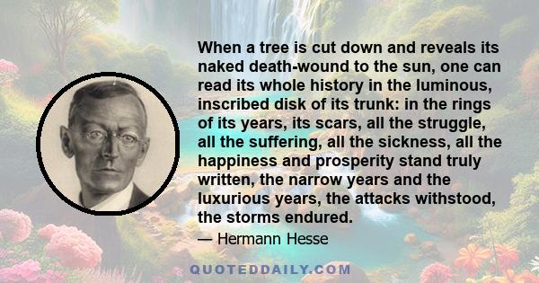 When a tree is cut down and reveals its naked death-wound to the sun, one can read its whole history in the luminous, inscribed disk of its trunk: in the rings of its years, its scars, all the struggle, all the