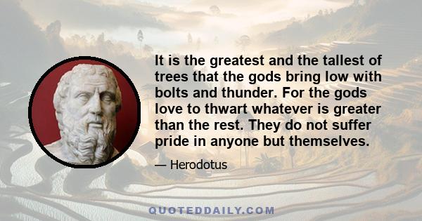 It is the greatest and the tallest of trees that the gods bring low with bolts and thunder. For the gods love to thwart whatever is greater than the rest. They do not suffer pride in anyone but themselves.