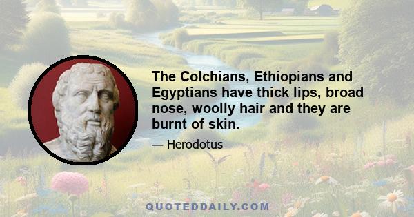 The Colchians, Ethiopians and Egyptians have thick lips, broad nose, woolly hair and they are burnt of skin.