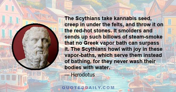 The Scythians take kannabis seed, creep in under the felts, and throw it on the red-hot stones. It smolders and sends up such billows of steam-smoke that no Greek vapor bath can surpass it. The Scythians howl with joy