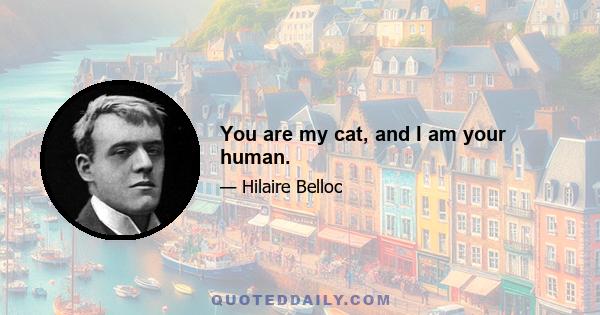 You are my cat, and I am your human.