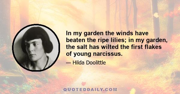 In my garden the winds have beaten the ripe lilies; in my garden, the salt has wilted the first flakes of young narcissus.