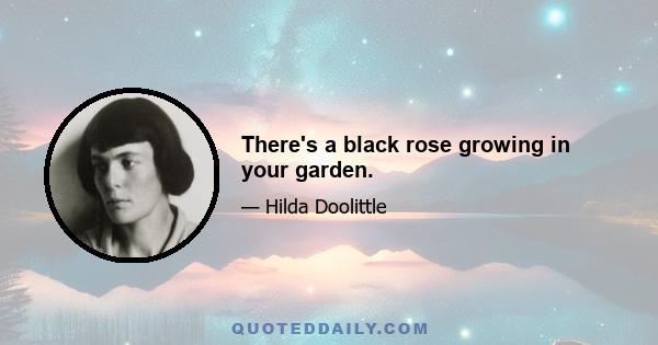 There's a black rose growing in your garden.