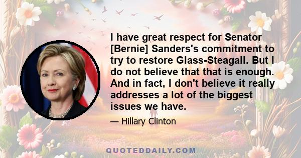 I have great respect for Senator [Bernie] Sanders's commitment to try to restore Glass-Steagall. But I do not believe that that is enough. And in fact, I don't believe it really addresses a lot of the biggest issues we