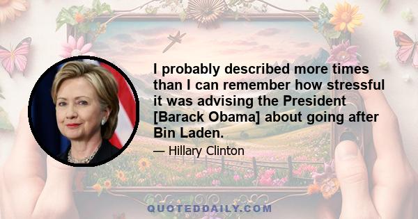 I probably described more times than I can remember how stressful it was advising the President [Barack Obama] about going after Bin Laden.