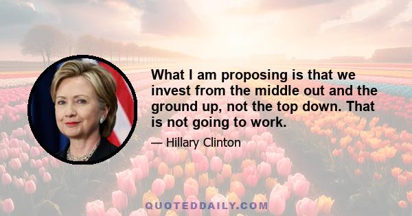 What I am proposing is that we invest from the middle out and the ground up, not the top down. That is not going to work.